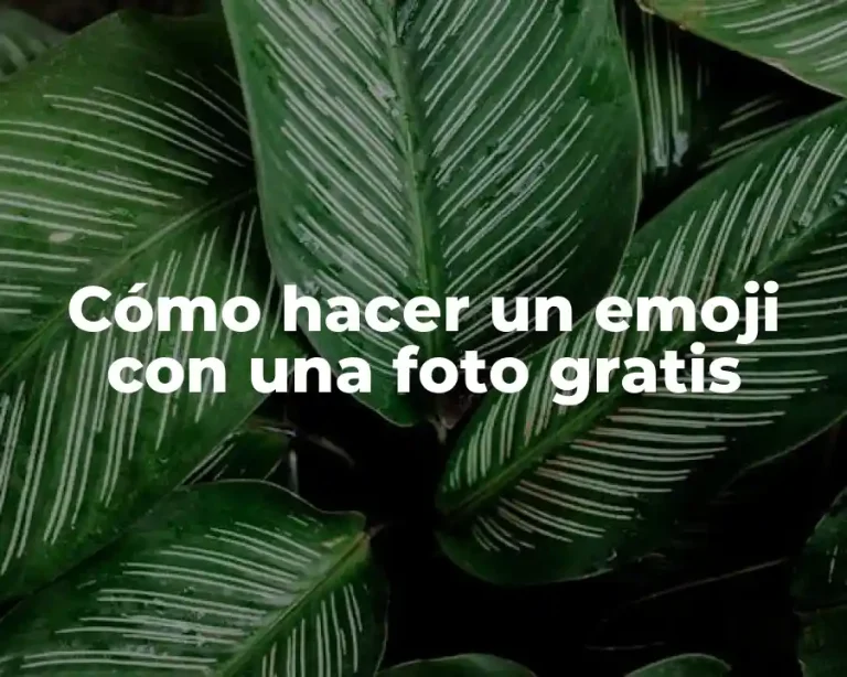 Cómo hacer un emoji con una foto gratis