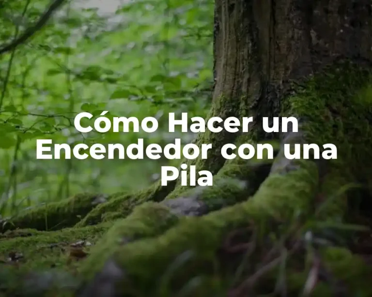 Cómo Hacer un Encendedor con una Pila