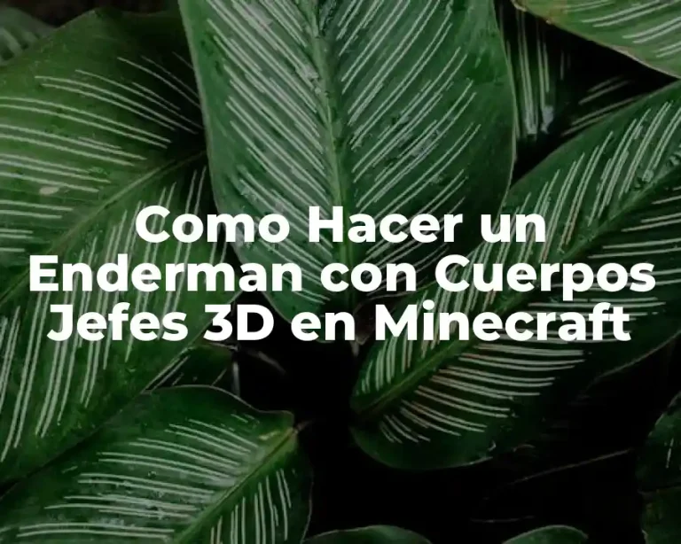 Como Hacer un Enderman con Cuerpos Jefes 3D en Minecraft