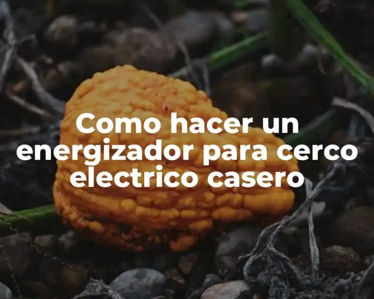 Como hacer un energizador para cerco electrico casero