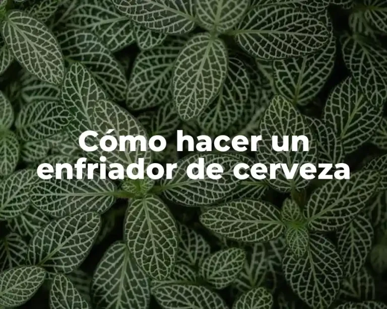 Cómo hacer un enfriador de cerveza