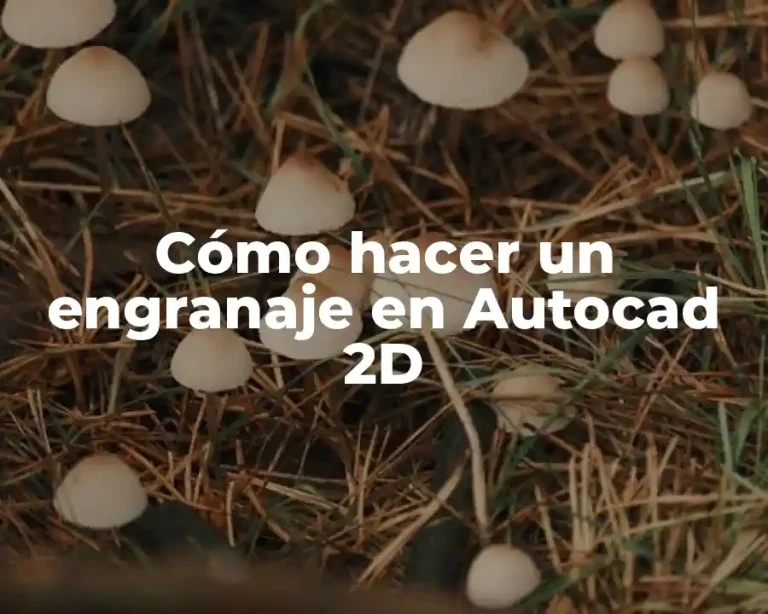 Cómo hacer un engranaje en Autocad 2D