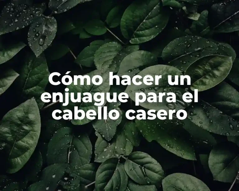 Cómo hacer un enjuague para el cabello casero