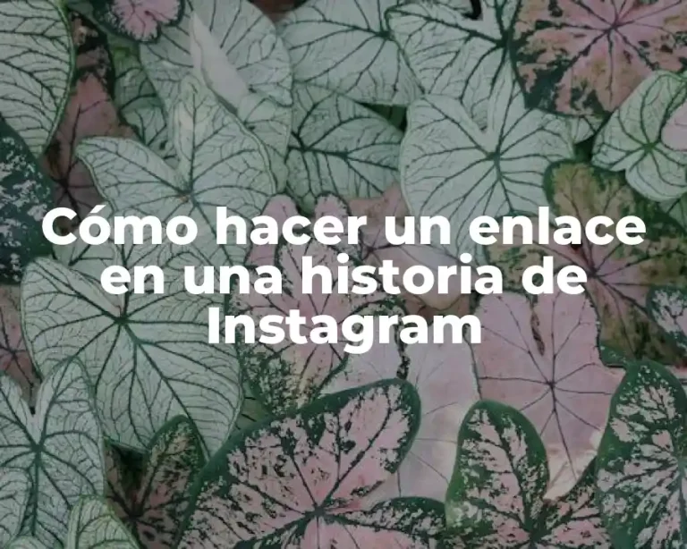 Cómo hacer un enlace en una historia de Instagram