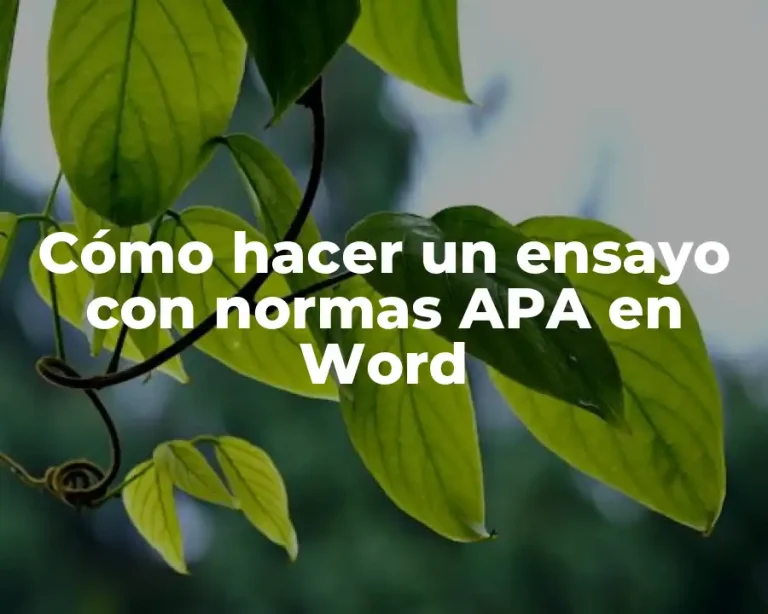 Cómo hacer un ensayo con normas APA en Word