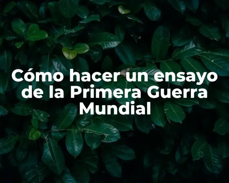 Cómo hacer un ensayo de la Primera Guerra Mundial