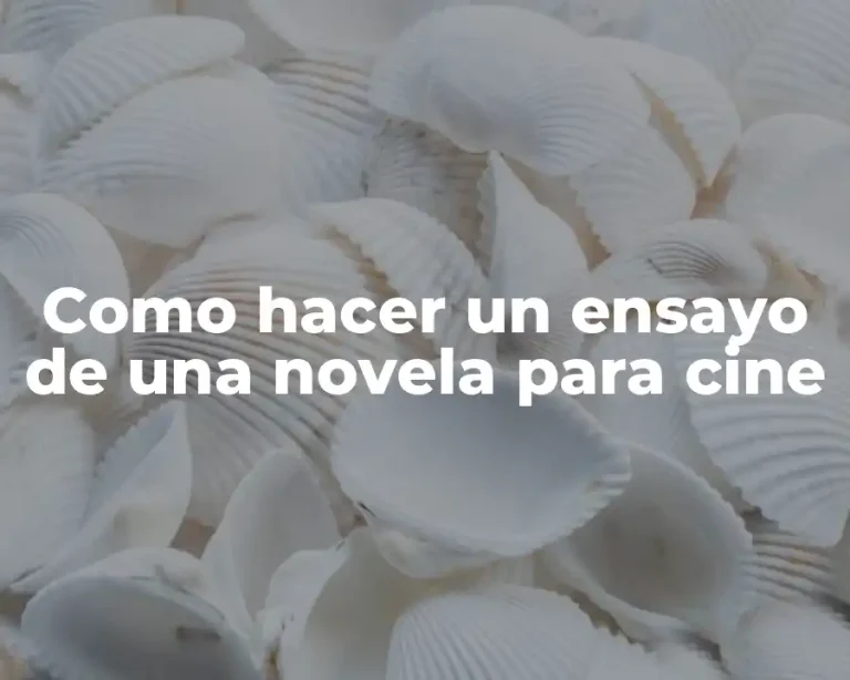 Como hacer un ensayo de una novela para cine