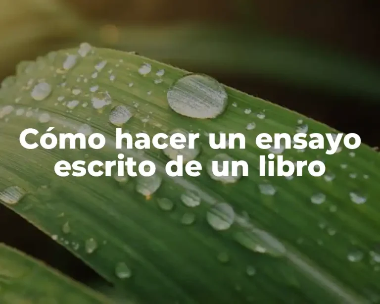 Cómo hacer un ensayo escrito de un libro