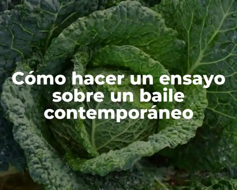 Cómo hacer un ensayo sobre un baile contemporáneo