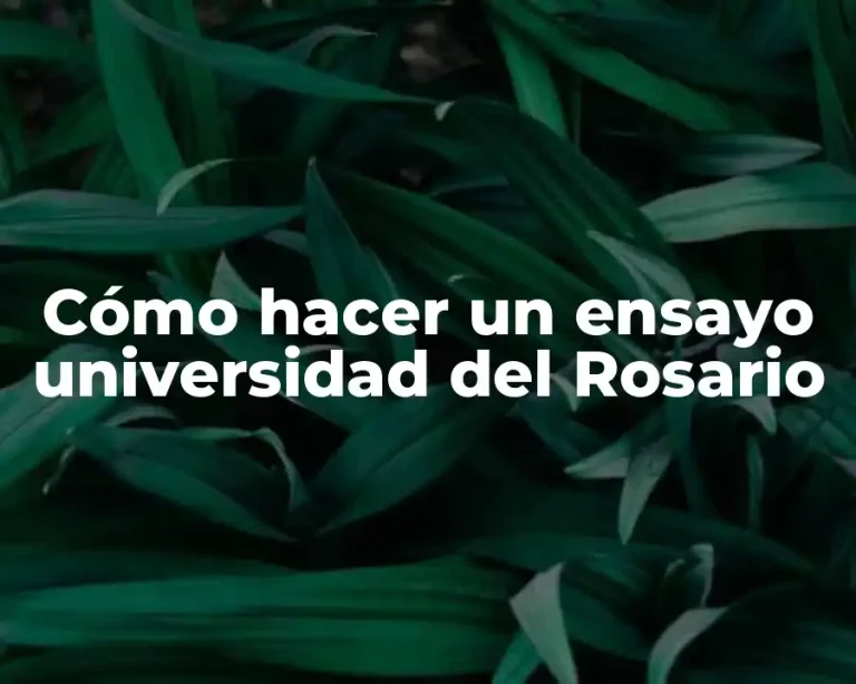Cómo hacer un ensayo universidad del Rosario