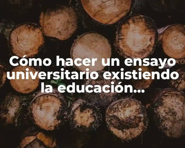 Cómo hacer un ensayo universitario existiendo la educación constructiva