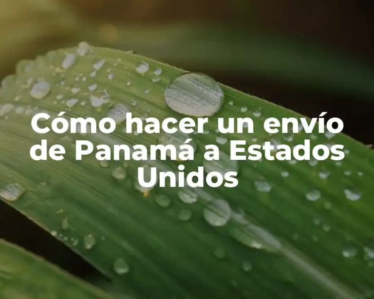 Cómo hacer un envío de Panamá a Estados Unidos