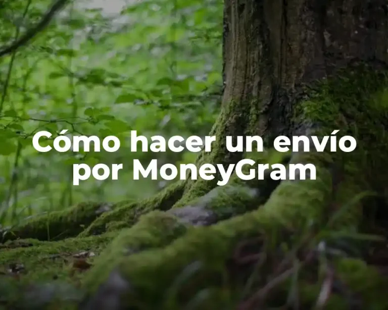 Cómo hacer un envío por MoneyGram