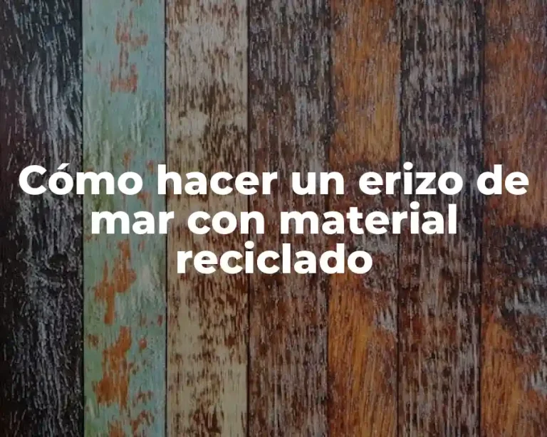 Cómo hacer un erizo de mar con material reciclado
