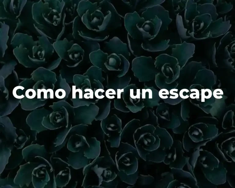 Como hacer un escape