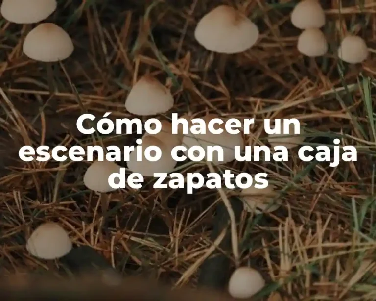 Cómo hacer un escenario con una caja de zapatos