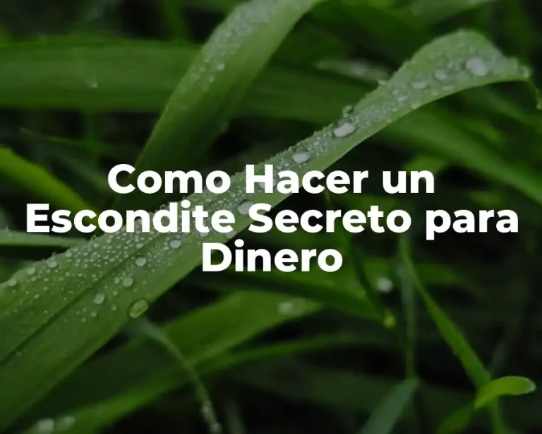 Como Hacer un Escondite Secreto para Dinero