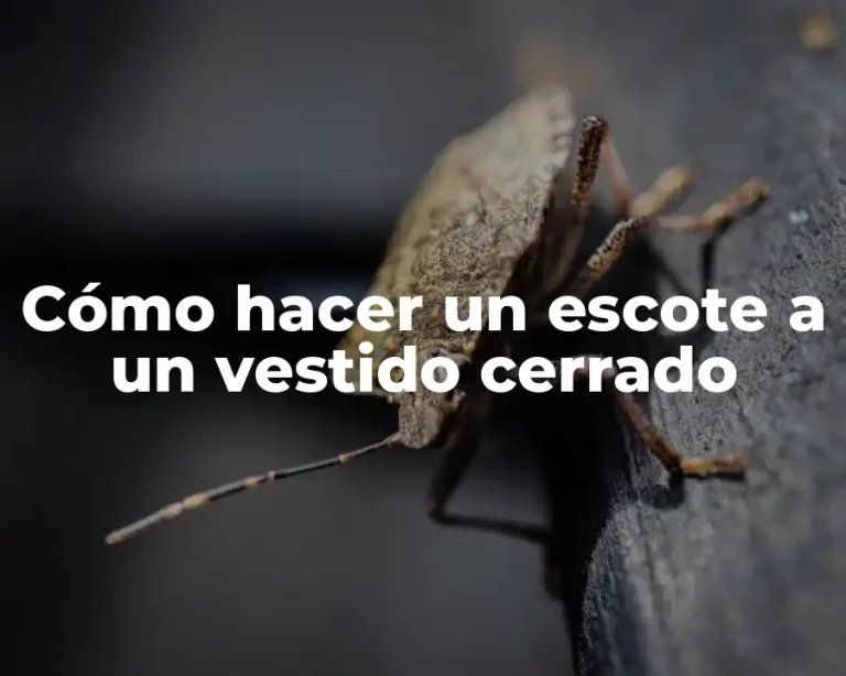 Cómo hacer un escote a un vestido cerrado