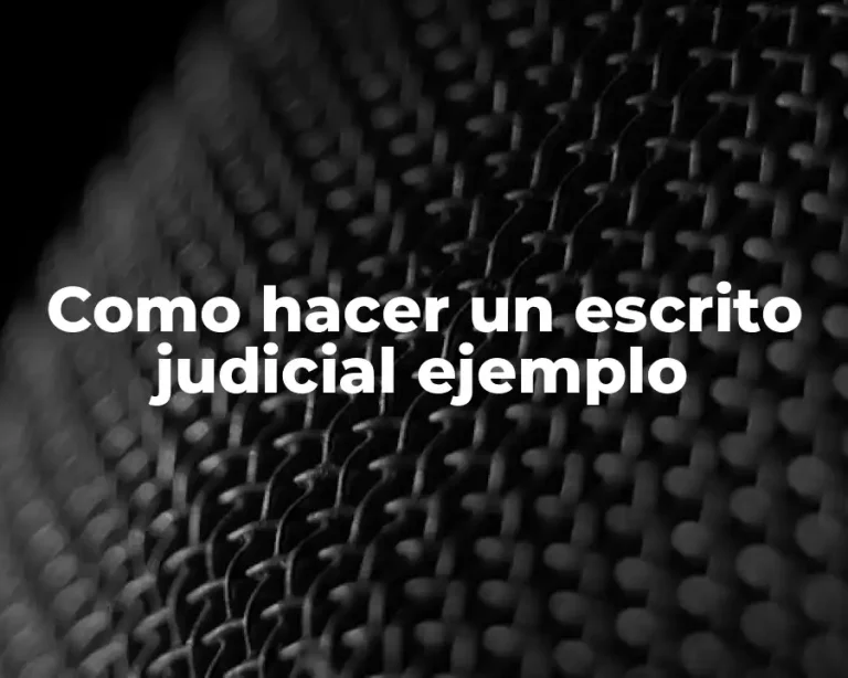 Como hacer un escrito judicial ejemplo