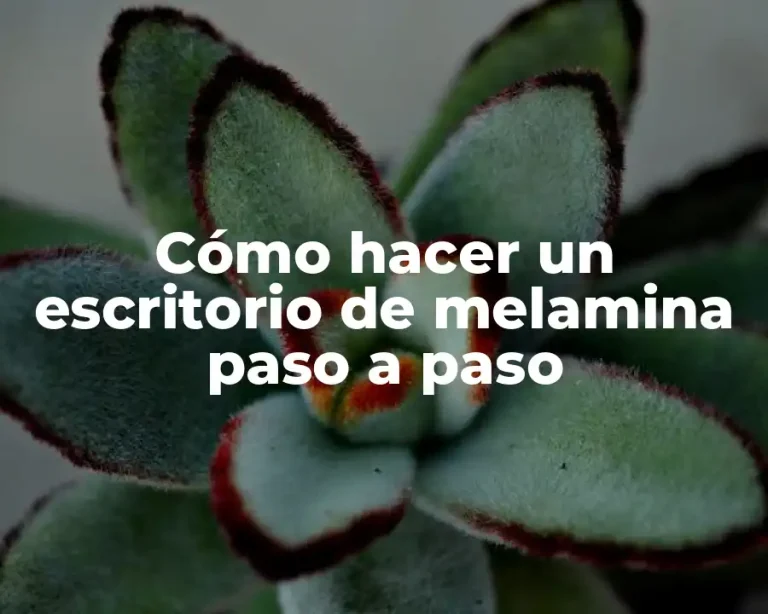 Cómo hacer un escritorio de melamina paso a paso