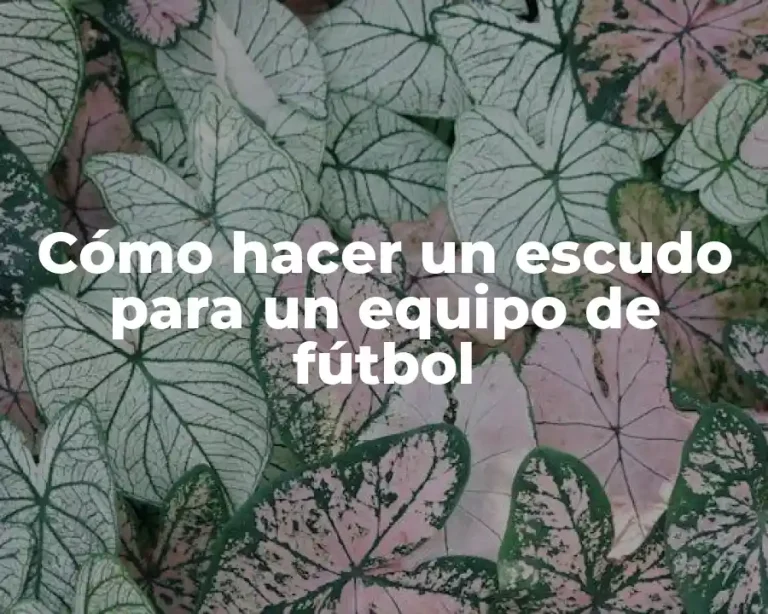 Cómo hacer un escudo para un equipo de fútbol