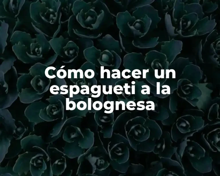 Cómo hacer un espagueti a la bolognesa