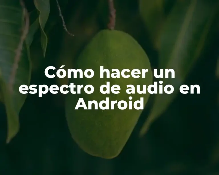 Cómo hacer un espectro de audio en Android