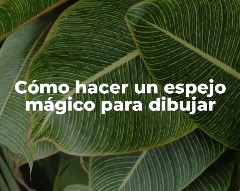 Cómo hacer un espejo mágico para dibujar