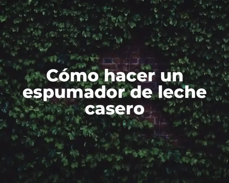 Cómo hacer un espumador de leche casero