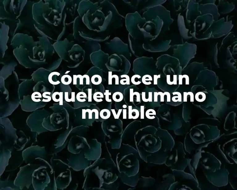 Cómo hacer un esqueleto humano movible