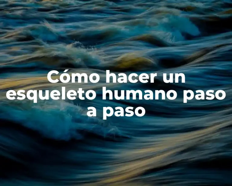 Cómo hacer un esqueleto humano paso a paso