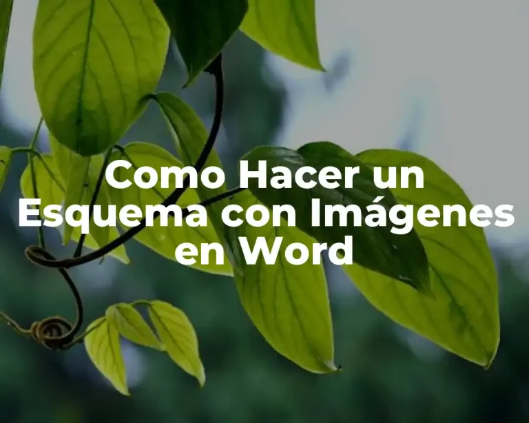 Como Hacer un Esquema con Imágenes en Word