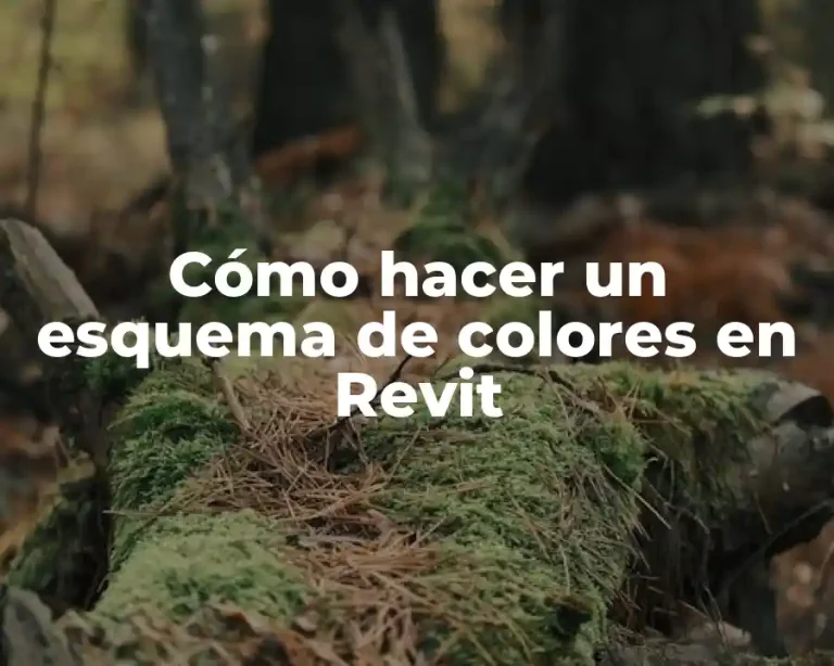 Cómo hacer un esquema de colores en Revit