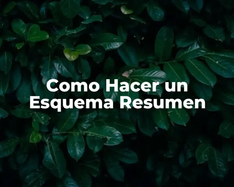 Como Hacer un Esquema Resumen