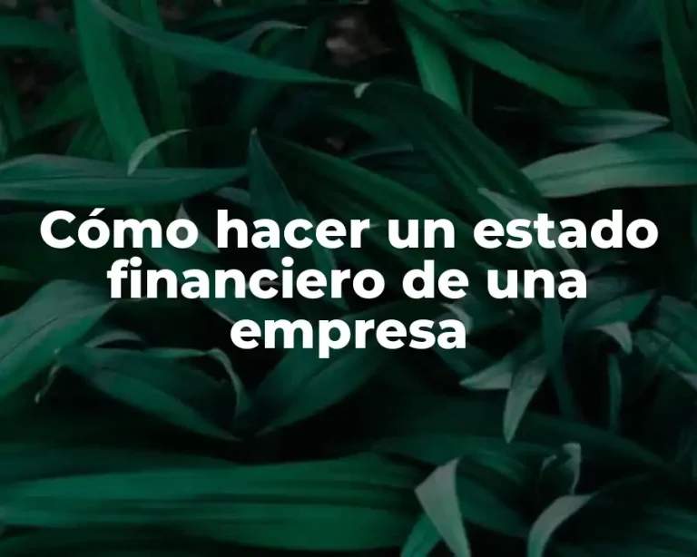 Cómo hacer un estado financiero de una empresa