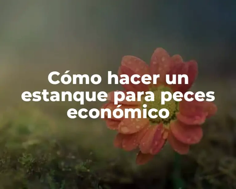 Cómo hacer un estanque para peces económico