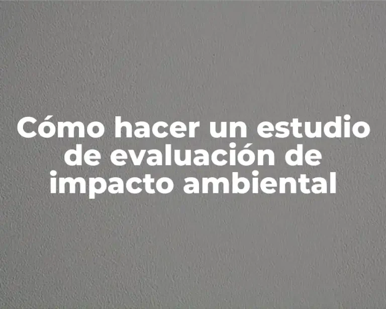 Cómo hacer un estudio de evaluación de impacto ambiental