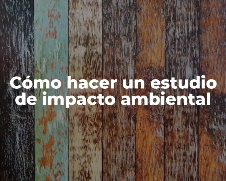 Cómo hacer un estudio de impacto ambiental