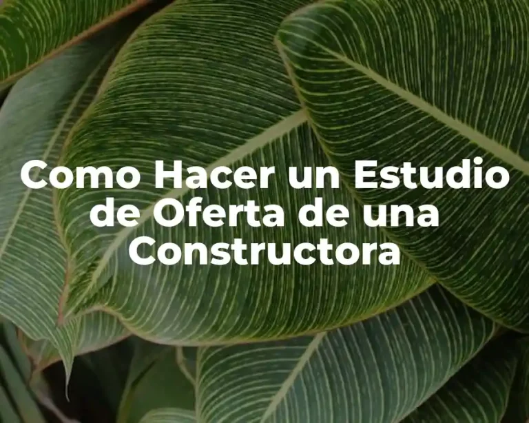 Como Hacer un Estudio de Oferta de una Constructora