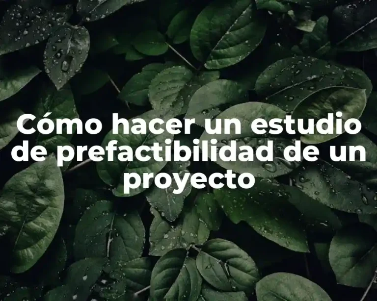Cómo hacer un estudio de prefactibilidad de un proyecto