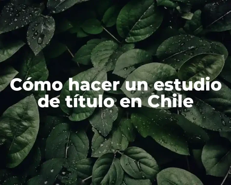 Cómo hacer un estudio de título en Chile