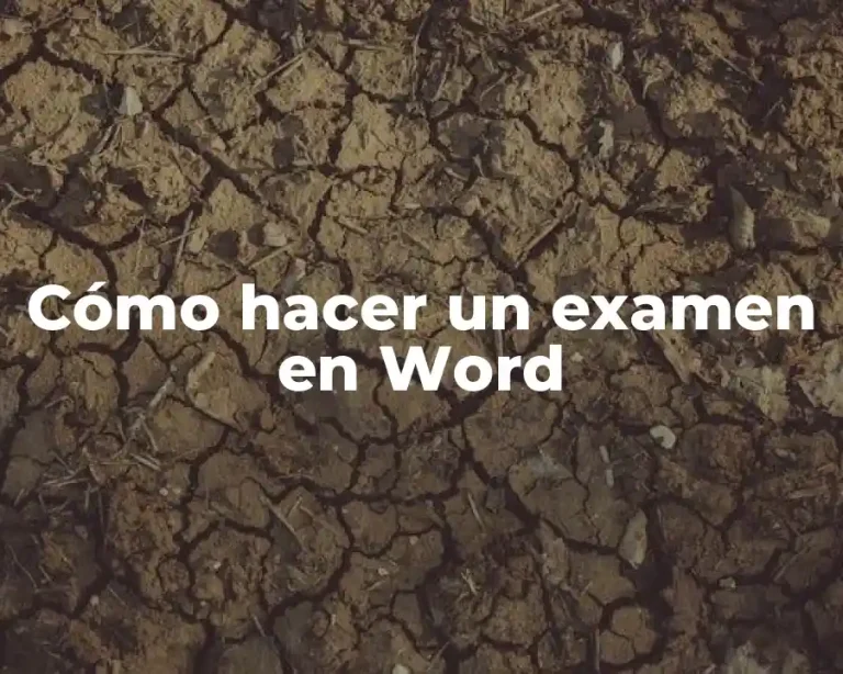 Cómo hacer un examen en Word