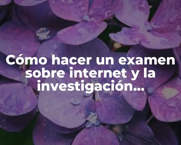 Cómo hacer un examen sobre internet y la investigación periodística