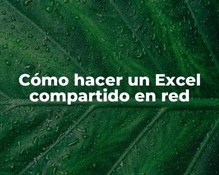 Cómo hacer un Excel compartido en red