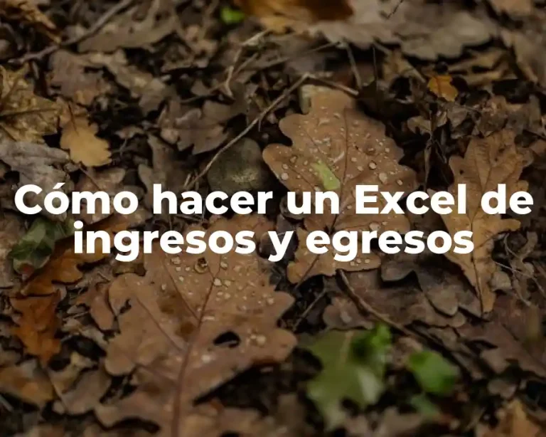 Cómo hacer un Excel de ingresos y egresos