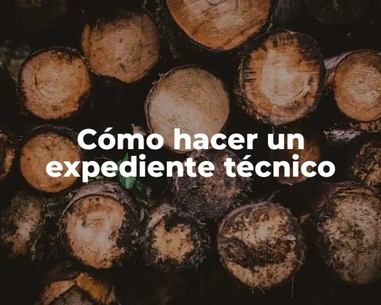 Cómo hacer un expediente técnico