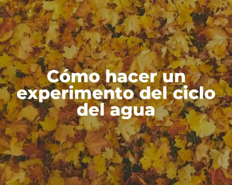 Cómo hacer un experimento del ciclo del agua