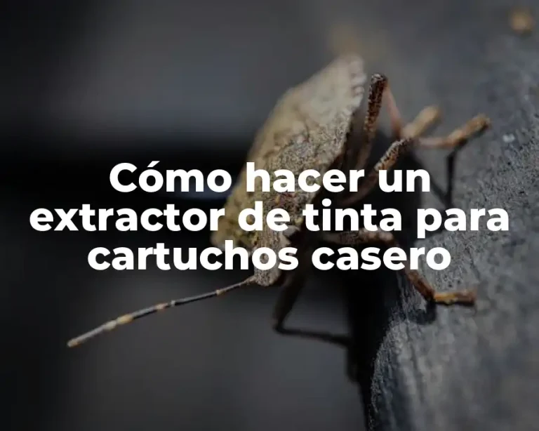 Cómo hacer un extractor de tinta para cartuchos casero