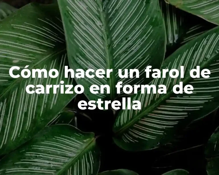 Cómo hacer un farol de carrizo en forma de estrella