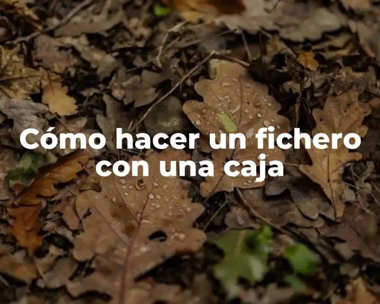 Cómo hacer un fichero con una caja
